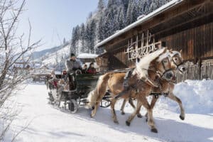 Winter holidays in the mountains of Großarl, Salzburgerland - Chalet